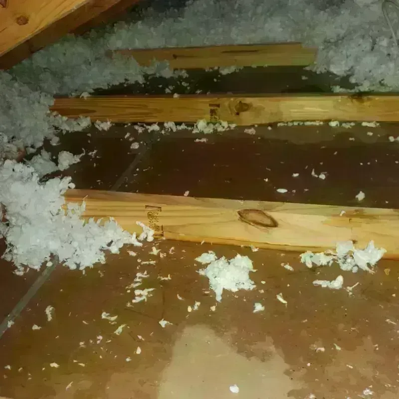 Attic Water Damage in Buna, TX